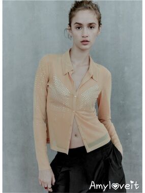 Zara Sheer Mesh Tulle Button-Down Shirt #95
